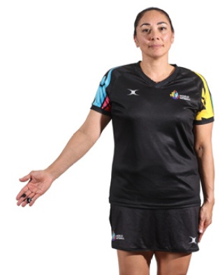 Hand signal 4: Arm angled down, pointing to base of goalpost
